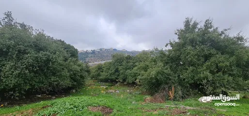  4 ارض مميزه للبيع في منطقة فحيص أم رجم 2350 باطلاله عاليه