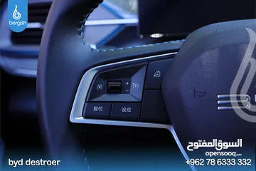  19 BYD Destroyer