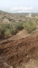  4 ارض على طريق بلعا دير الغصون قبل مفرق اكتابا