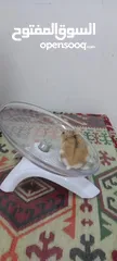  9 قفص هامستر  hamster cage