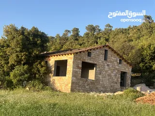  4 شالية ب نظام كوخ ب اجمل غابات عجلون