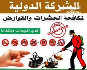  1 الشركة الدولية لمكافحة الحشرات بجميع مناطق الكويت