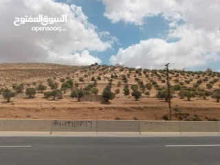  6 ارض سكنيه للبيع موقع خلاب ومميز جداً منطقة ابو نصير المربط حوض ام رجم مرج الصانع حوض 2حي الضياء