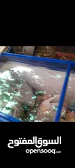  3 فريزر بطح بحاله ممتازه