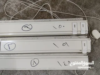  1 برادي زيبره