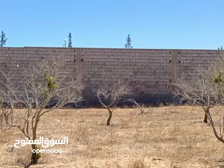  10 قطعه ارض للبيع 350متر الباعيش بالقرب من مسجد السلام
