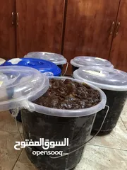  1 بيع تمور مدلوك