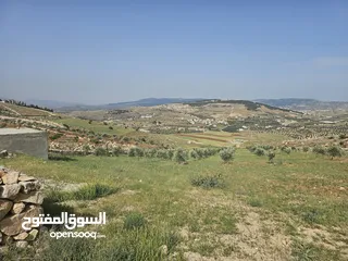 12 مزرعه للبيع. فرصه استثمارية رائعة! مزرعه قائمة وجاهزه للبيع بموقع استراتيجي في منطقة هادئة وطبيعه خل
