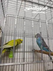  3 بادجي شغال للبيع  شوف الوصف
