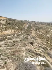  4 ارض للبيع ( ام رمانه) قريبه جدا من شارع الاردن حيث تبعد عن بن معروف 6 دقائق فقط