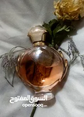  8 عطور عينات حره اصلي مكفول ع الفحص مستخدمين ايشي بسيط بأسعار مناسبة وشكراً