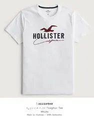  1 Original Hollister t-shirts form Germany 100%