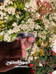  2 روليكس ديت جست الماس اصلي اصدار محدود