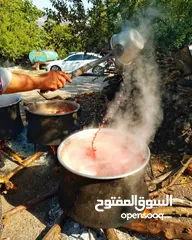  20 شروة دبس رمان بلدي للبيع
