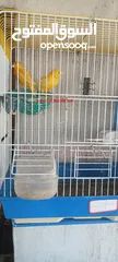  3 مجموعة طيور للبيع