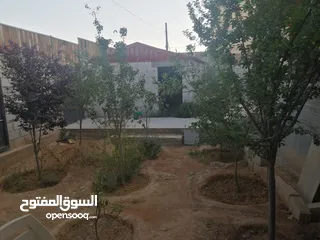  7 بيت للبيع مساحة الارض، الضليل 500 متر على شارعين ..