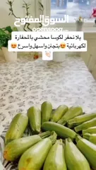  5 الحفارة الكهربائية