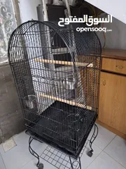 1 للبيع قفص كاسكو النوعية الثقيل كبير جدا