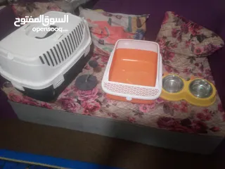  1 بيت للقطط مع ما صحون اكلها مع الصحن بتحط فيه تراب