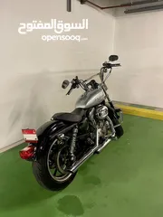  2 Harley Davidson XL 1200 Custom