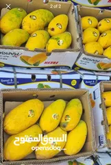  2 fresh Pakistani sindhri mango available