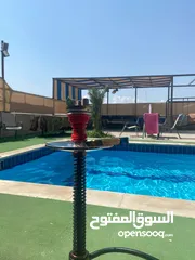  15 شاليه للايجار منطقه مطله جبل الروضه مطل ع البحر الميت وجبال فلسطين مسبح مغطى من اشعه الشمس