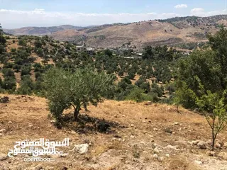  4 قطعه ارض للبيع
