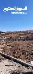  5 قفقفا 13 دنم منطقة مزارع وشاليهات وطبيعة خلابة مسيجة جدار حجر
