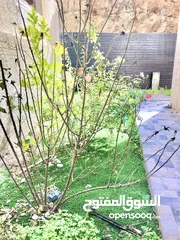  3 شقة للبيع مع حديقة ومدخل خاص