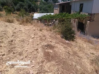  4 ارض للبيع في عجلون (صخرة)