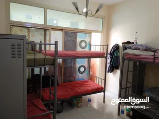  2 Executive Bachelor room  with attached washroom including All 4000 for 6 person Al rigga deira