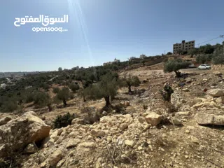  3 قطعة ارض نص دونم 500متر منطقة A  للبيع جفنا-زعبوب