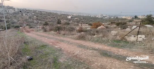  6 الظاهر لتسييج و تشيييك الاراضي الزراعية و التجارية