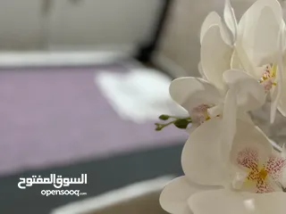  3 فيلا طايقين علي شارع رئيسي منطقة القاديسيه الشارقه