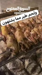  7 طيور دخل طيورصغار عصفور التين