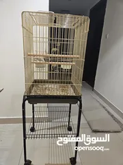  5 cocktail couple with cage