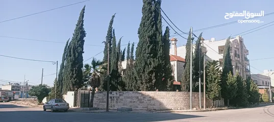  14 فيلا للبيع في منطقه راقيه وهادئه السعر غير نهائي قابل للتفوض