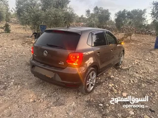  10 بولو جير عادي الحبة النادرة باللون و الجمال و الفحص