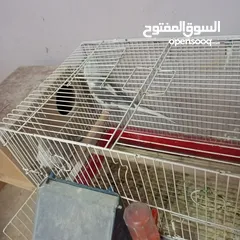  2 مجموعة معاكيف للبيع