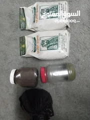  22 عده مطعم فلافل +عده محل معجنات