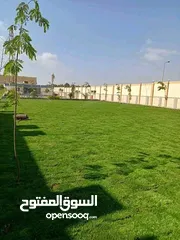  14 نجيل طبيعي بسبيلم بيور