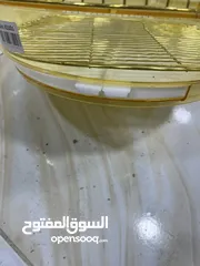  6 قفص دهبي مطاول