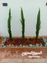  8 تنسيق حدائق