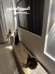  10 روف مشطب سوبر دلوكس مفروش