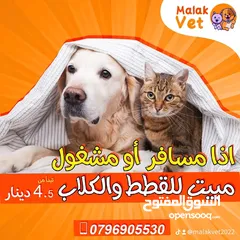  18 خدمات بيطرية متكاملة للحيوانات الاليفة