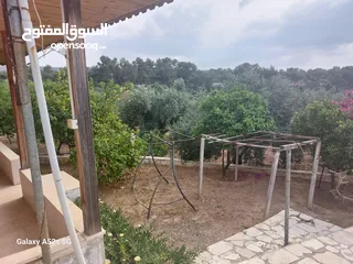  29 مزرعه فاخره تل الرمان منطقه مزارع الخير