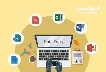  2 خدمة ادخال بيانات  Data Entry Service