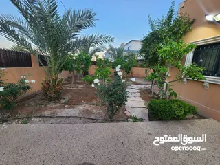 6 فيلا للبيع بالقرب بشارع الباباي