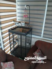  5 قفص ببغاء للببع