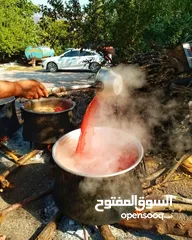  19 شروة دبس رمان بلدي للبيع